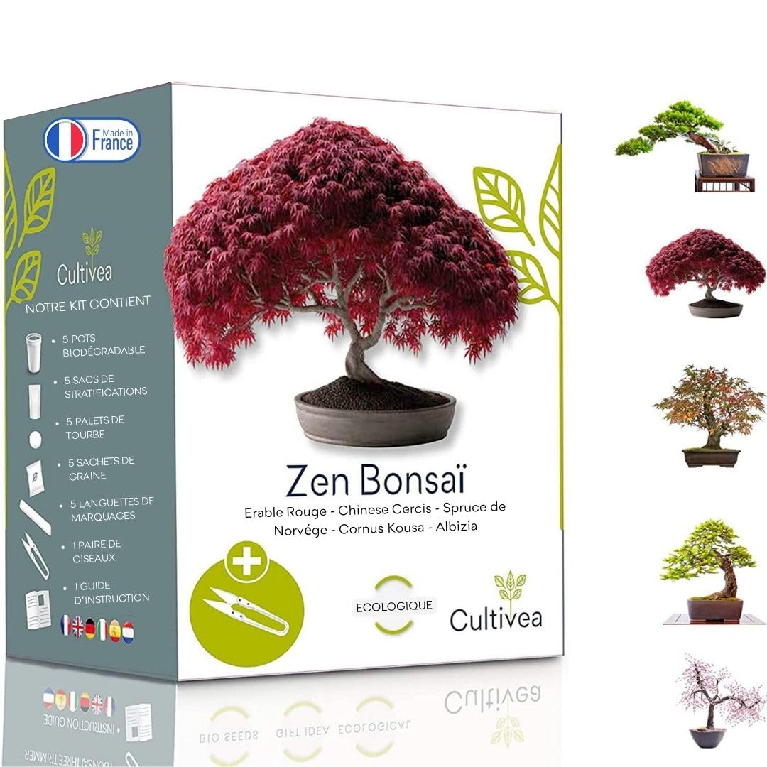 🌱 Kit de Culture Bonsaï